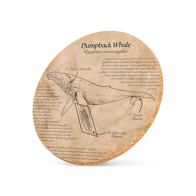Illustrated cork coaster featuring humpback whale artwork
